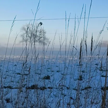 Dom wakacyjny Haus Seestern