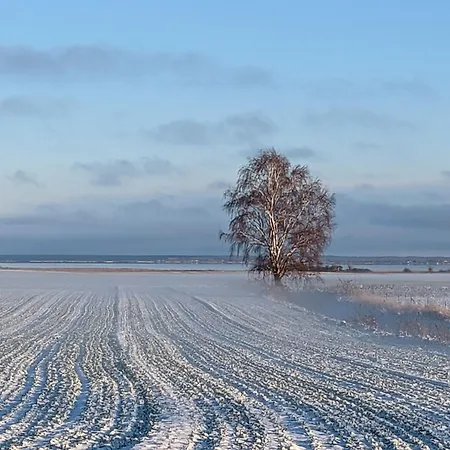 Haus Seestern Dom wakacyjny